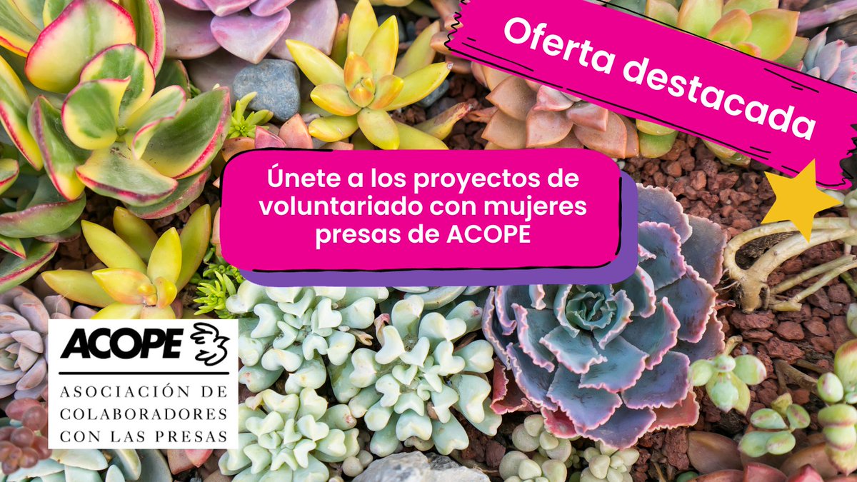 Descubre los diferentes proyectos con mujeres presas de <a href="/acope_/">Acope</a>

Viveros, casas de acogida, talleres de comunicación, actividades de sensibilización… un voluntariado para personas con inquietud social en el campo de las prisiones y su entorno 👉 bit.ly/4777SWC