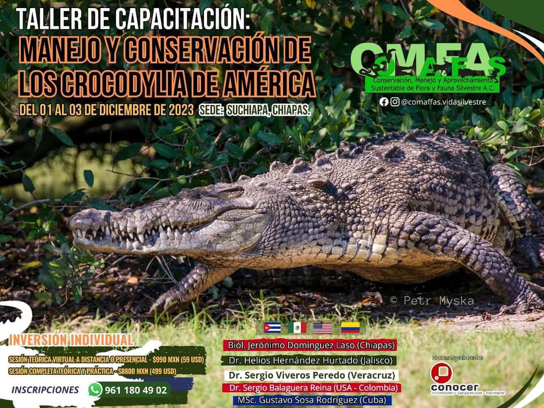 Última capacitación de 2023 en la que estaré colaborando en conjunto con colegas especialistas para promover la investigación cocodriliana y el manejo adecuado de ejemplares 🇲🇽🇨🇴🇺🇸🇨🇺