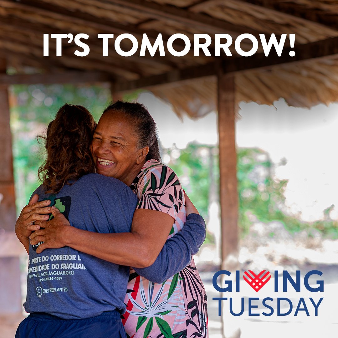 Giving Tuesday is tomorrow! Have you already chosen a cause to support? 💚 Find out more about Black Jaguar Foundation: black-jaguar.org