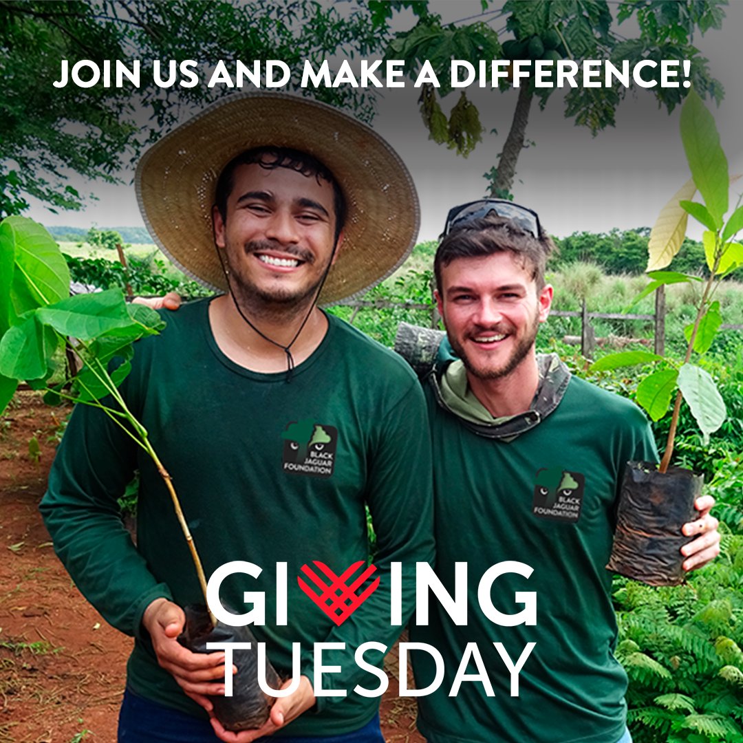 Black Jaguar Foundation &amp; Giving Tuesday: you can make a difference 🌱💚🤝 Be part of this movement and help create a better world. Every action, no matter how small, makes a difference. Donate now: useplink.com/payment/dJI1dr…