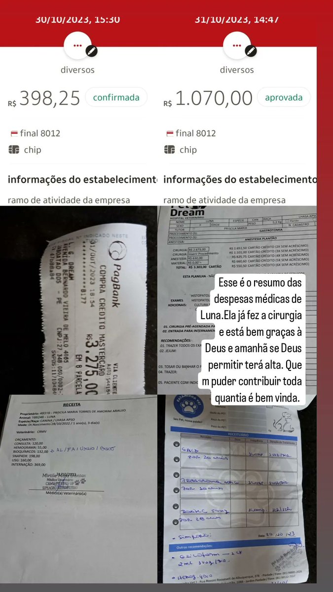 Esse é o resumo das despesas médicas de Luna; ela já fez a cirurgia e está bem, hoje se Deus quiser e permitir terá alta. Quem puder ajudar contribuindo será de grande ajuda.