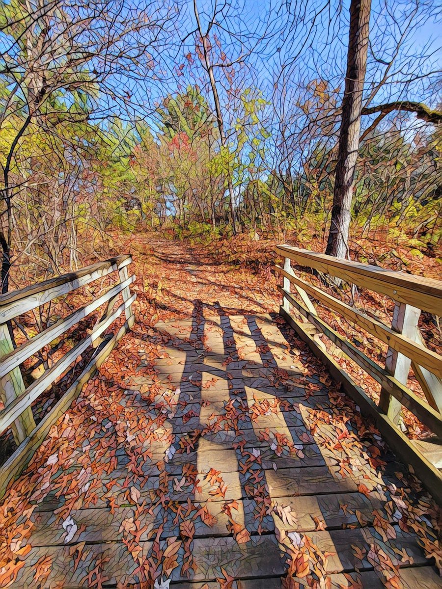 Wendi M. Lindenmuth MPH, Author. Artist. Editor 💙 tweet media