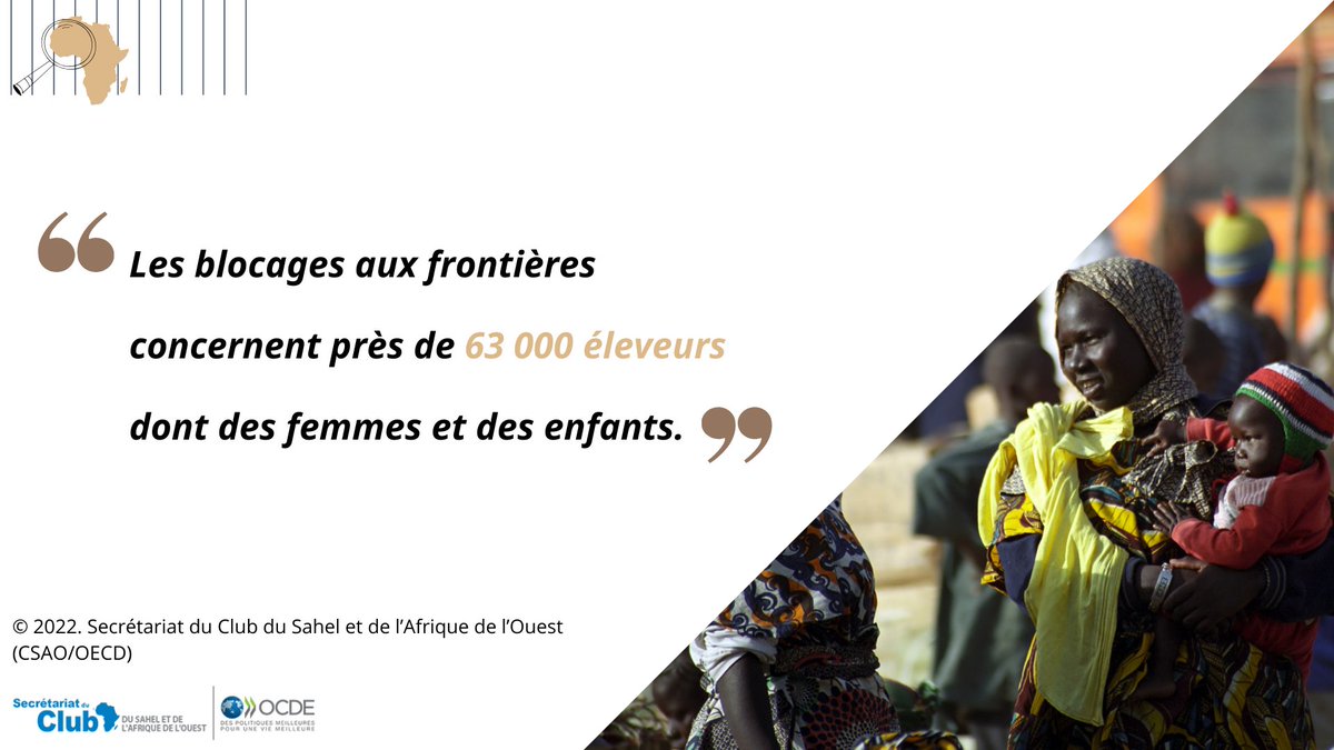 SWAC_OECD's tweet photo. #MapsandFacts de la semaine.
Certains itinéraires de transhumance sont dangereux à cause des violences perpétrées par les groupes armés. Cela entraine des pertes économiques importantes pour les pasteurs comme pour les zones qui les accueillent. 💰
🔗https://t.co/4RpAIlSwUE https://t.co/KZJmZAGUXY