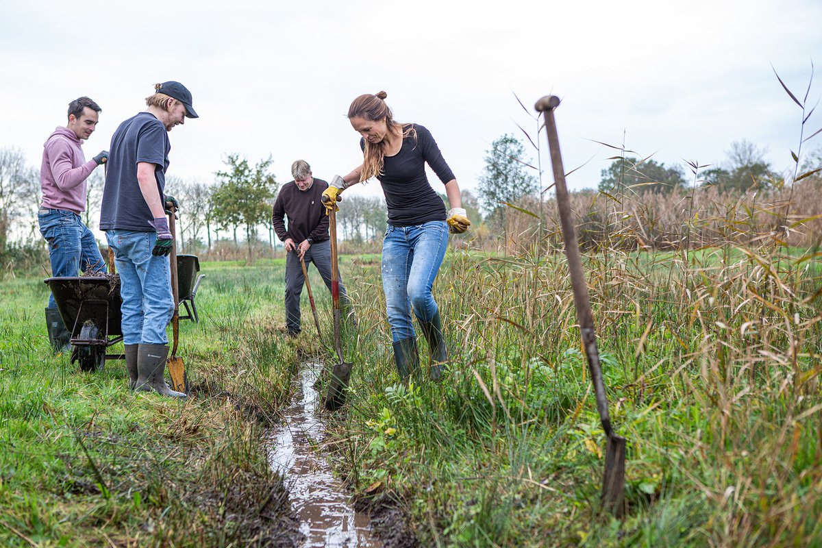 De natuur lijkt vandaag stoer en sterk, maar heeft jouw hulp nodig! Ga naar natuurwerkdag.nl en zoek een klus bij jou in de buurt op 3 of 4 nov. Iedereen kan meedoen, ook als je geen ervaring hebt met klussen in het groen. #natuurwerkdag #vrijwilligerswerk #StormCiaran