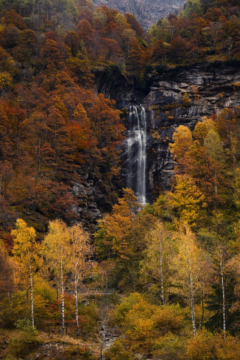 Last year nature worked its magic with these Autumn colors. This year some of the trees lost their leaves very early with the others still in full green. 

#photooftheday #photography #Herbst #AutumnPhotography #Autumn #fallcolors