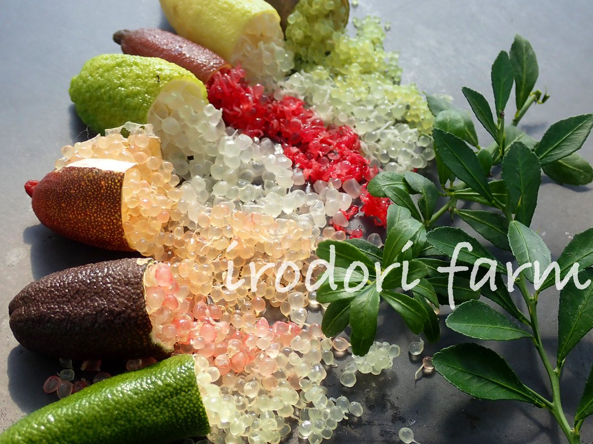 SUU // いろどりファーム👩🏻‍🌾 tweet media