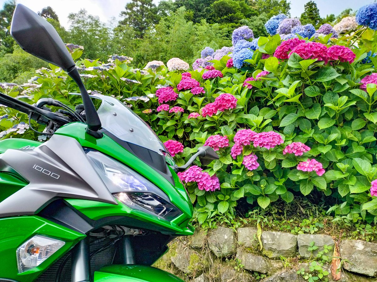 Syun883's tweet photo. Kawasaki Ninja1000のライダー
変な無茶ツーリングを企画して勝手に一人で実行したりする人
滝好き、虹系の自然現象好き
BiSHの永久清掃員 https://t.co/YaHi6I5ev4
