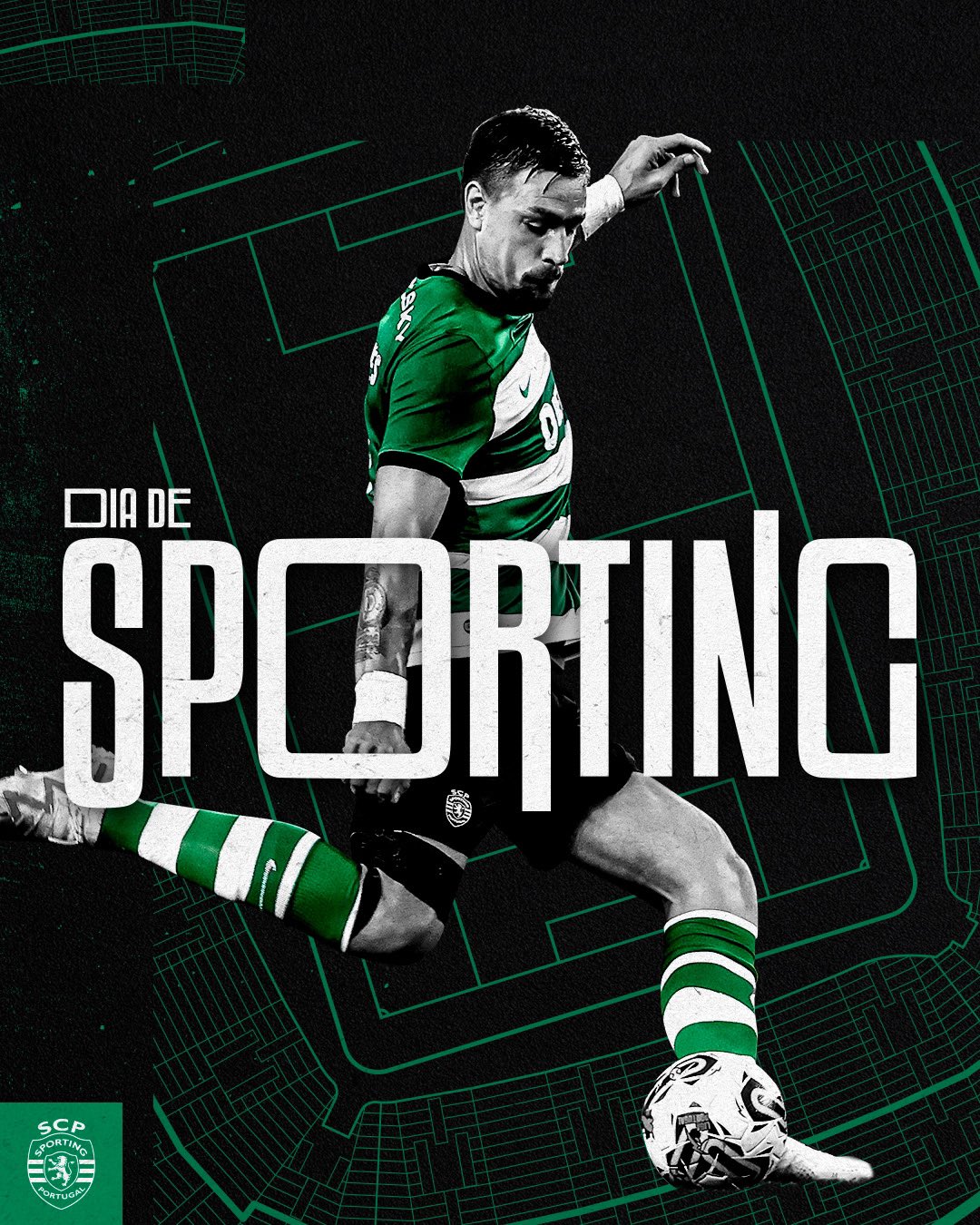 Sporting CP on X: ⏹️ FINAL DO JOGO: Grande noite em Alvalade