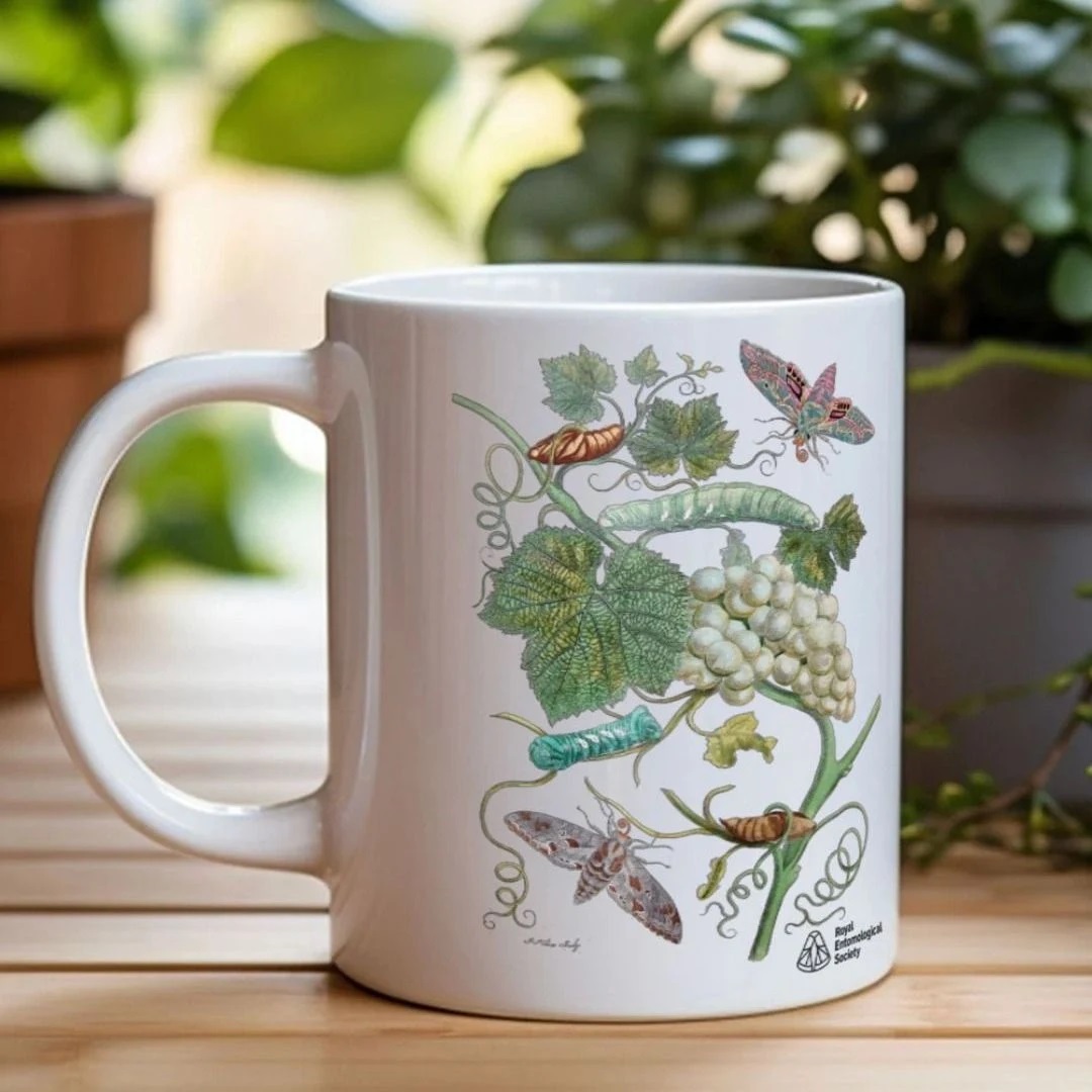 RoyEntSoc's tweet photo. #FreeShipping this weekend!
Fancy a new T-Shirt, #Hoodie, #Mug or #ToteBag? Get free UK shipping on every order from Friday to midnight Sunday.
View our #GiftGuide:
https://t.co/C5Gua6Iz67
@Teemillstore #teemill #Hoodie #Mug #ToteBag #Library #Gifts #Entomology #InsectGifts https://t.co/jyliHFliHq