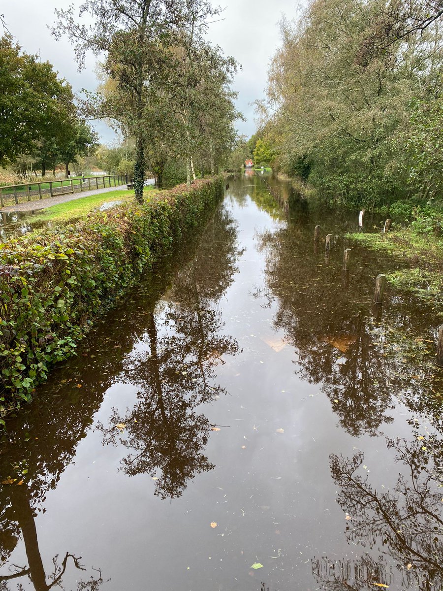 Closure update Due to the rain that has fallen in the local area, many of the roads and trails within Moors Valley are flooded. With water in levels continuing to rise the park will not re-open before 11am on Friday 3 November to allow rangers to check the safety of the site.