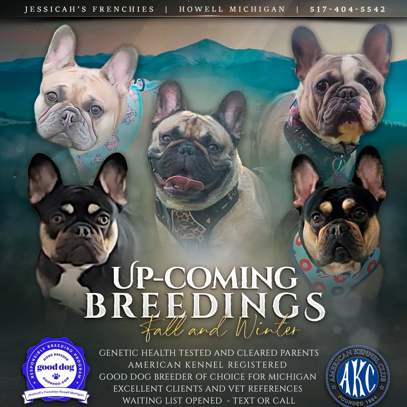 Akc french bulldog breeders michigan sales
