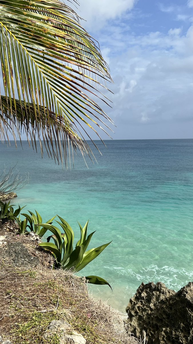 Gaby_MarieG's tweet image. Just a reminder that amidst all the ills that plague our twin island, T&amp;amp;T is an extremely beautiful and blessed place 🇹🇹