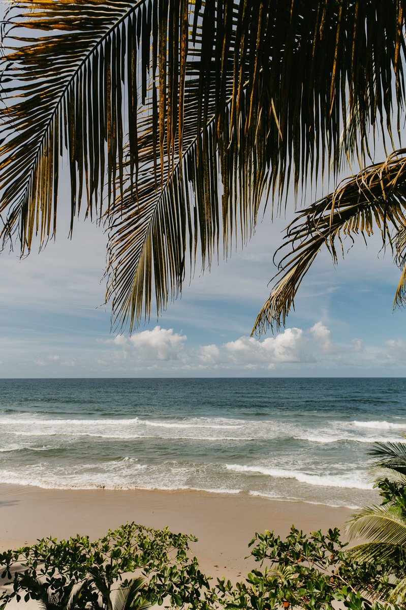 Gaby_MarieG's tweet image. Just a reminder that amidst all the ills that plague our twin island, T&amp;amp;T is an extremely beautiful and blessed place 🇹🇹