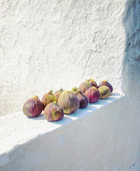 Mediterranean Aesthetics (@mediterraneanae) on Twitter photo 