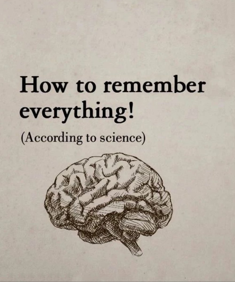 _FalconThoughts's tweet photo. How to remember everything🔥🔥🔥
. 
. 
(According to science) https://t.co/1oSchqpj8o