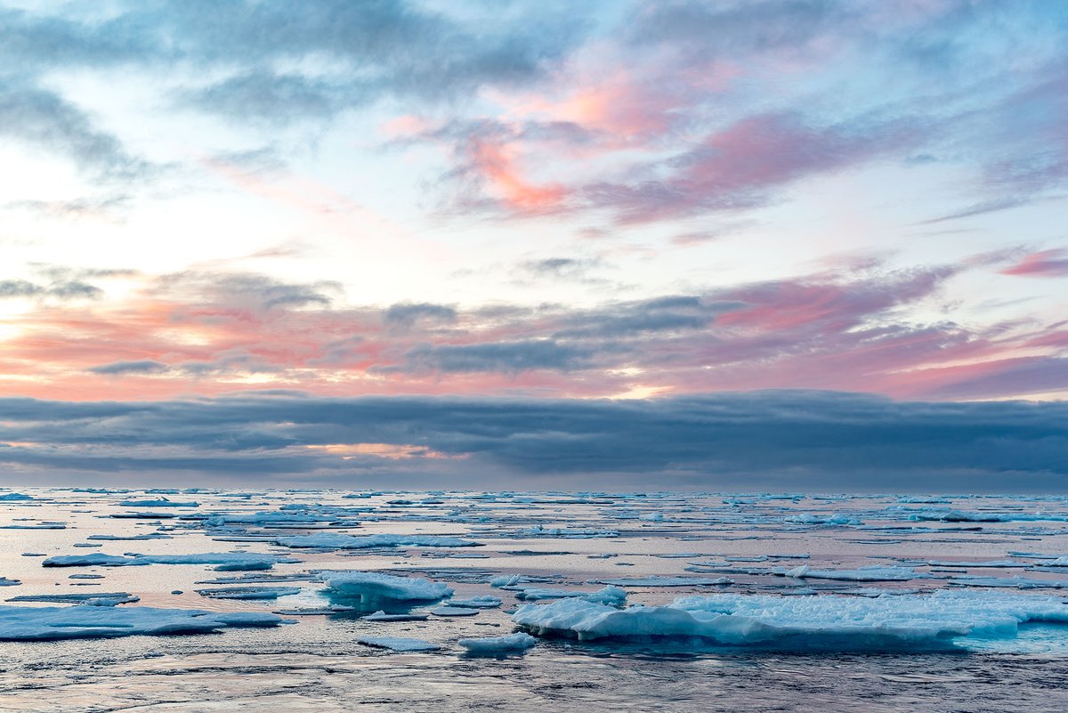 VolkerDiekamp's tweet photo. This photo of #arcticseaice, already taken in 2017 during the #MSM66 cruise #oceandrilling, is now published for the first time as part of the following @marum_de press release about #climatevariability in the #northatlantic #ocean during the last #iceage: https://t.co/ncSicXwPmO https://t.co/SjTrQgiT2e