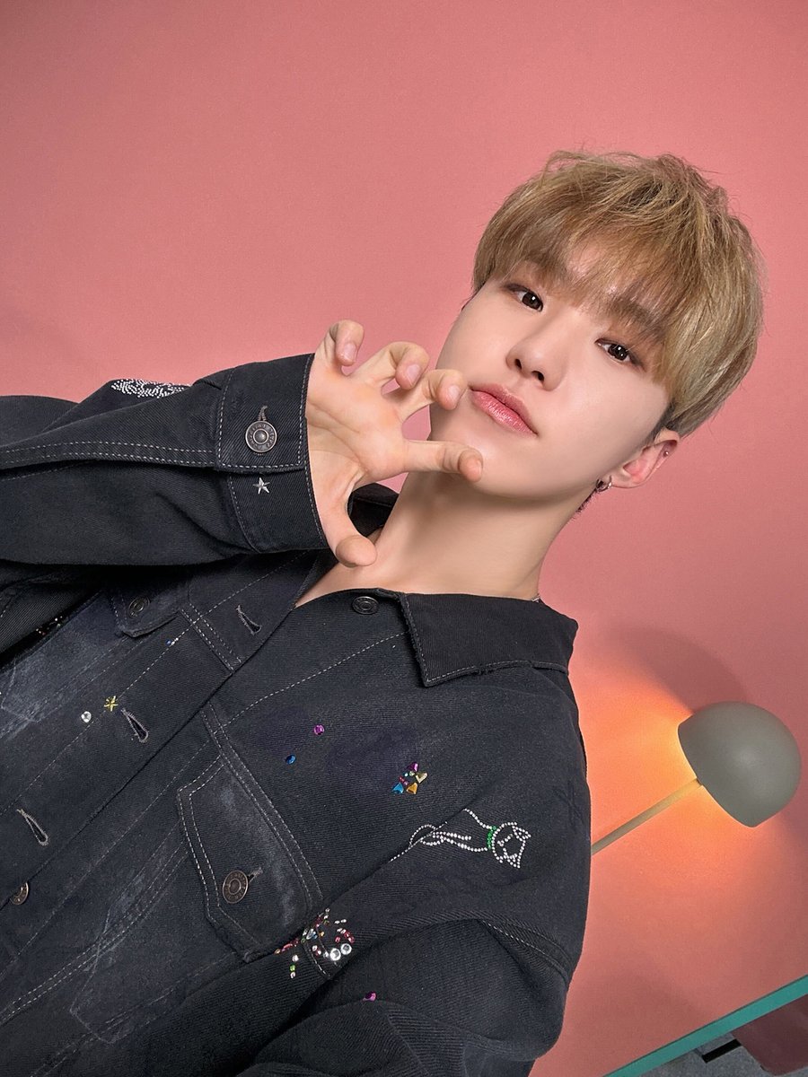 [17'S 호시] #셀폰코드
이 구역 호랑이 깜짝 등장! 🐯 

#누군지_전혀_모르겠는_호랭이😮