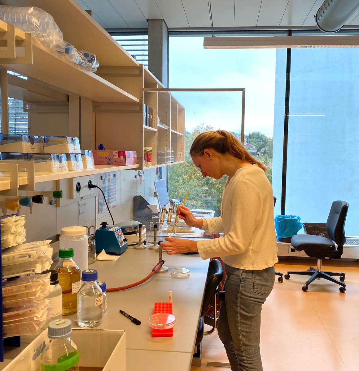Yesterday wasn't a holiday for Toussaint in Switzerland but our first experiment in the Goemans' lab <a href="/camille_goemans/">Camille Goemans</a> 🧫
After 1 month and a half of orders and organising the lab, we are ready to start at the bench ! 👩🏼‍🔬
#NewLab