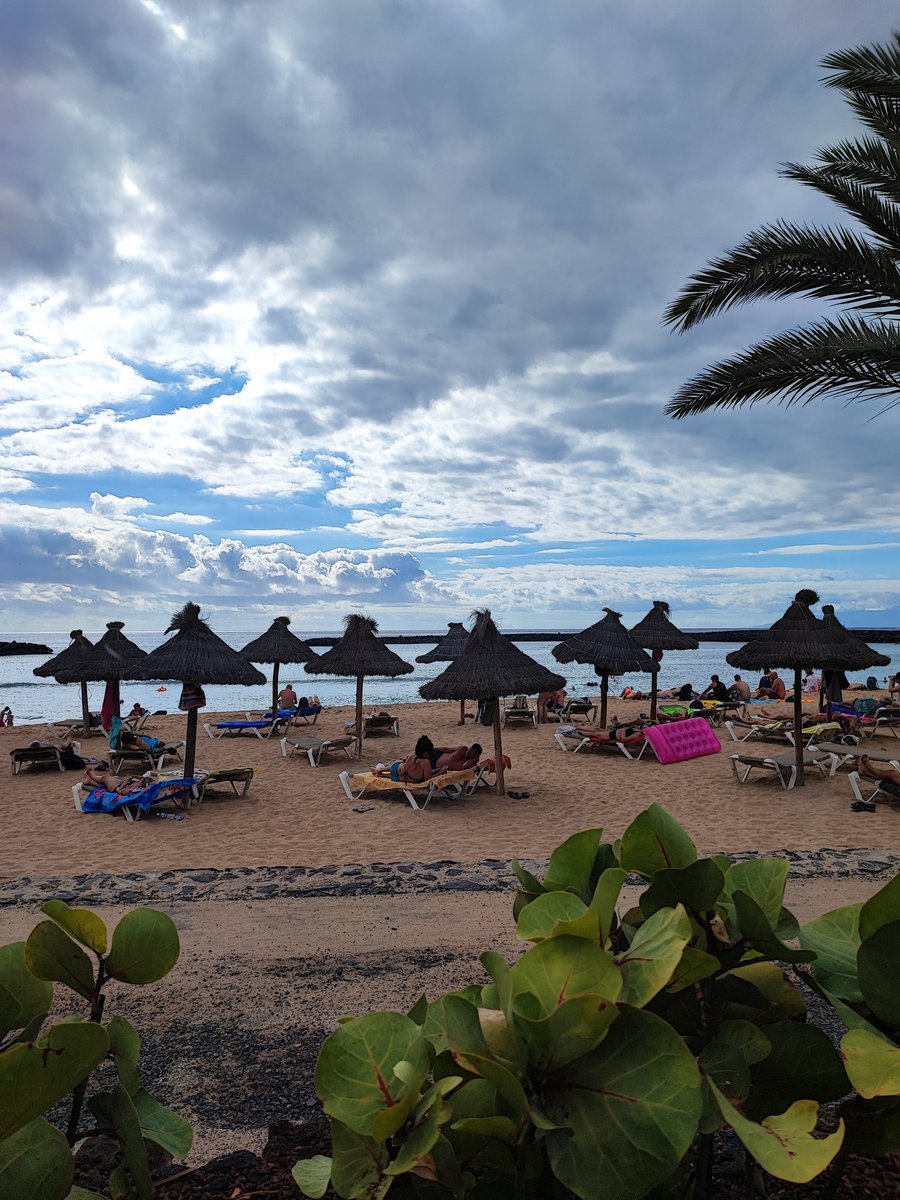 giulia_vigni's tweet photo. Mucho, mucho gustissimo Tenerife! #isla #canarie #espagna #vacaciones #doradaalaplancha #muyencandata #playa #sol #atlantic #ocean https://t.co/TELIzKcVOx