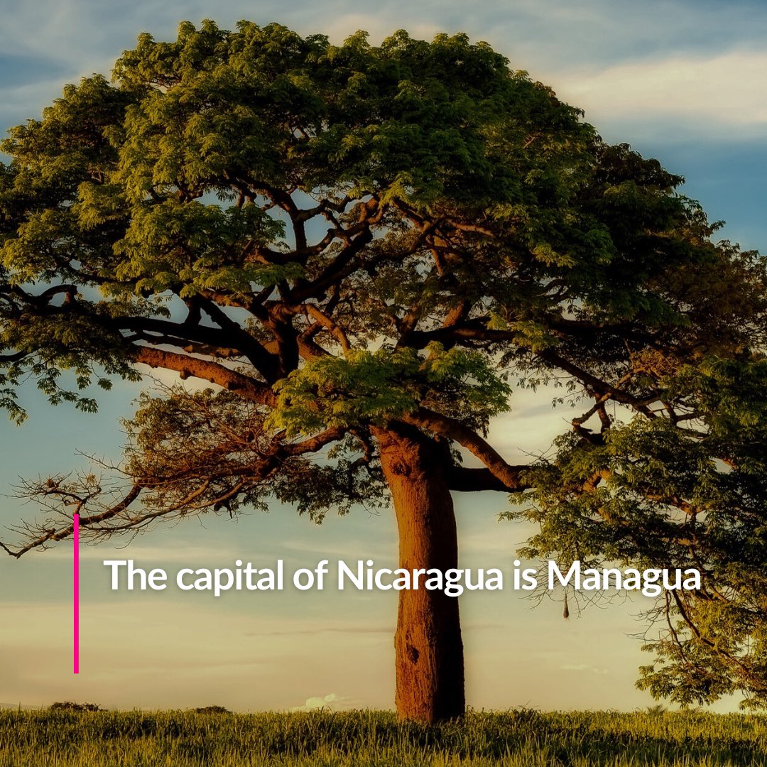 VisitWorld_'s tweet photo. How do you like these facts about Nicaragua? Would you like to visit this country? ✈️ #visitworld https://t.co/5AHZWraIgv