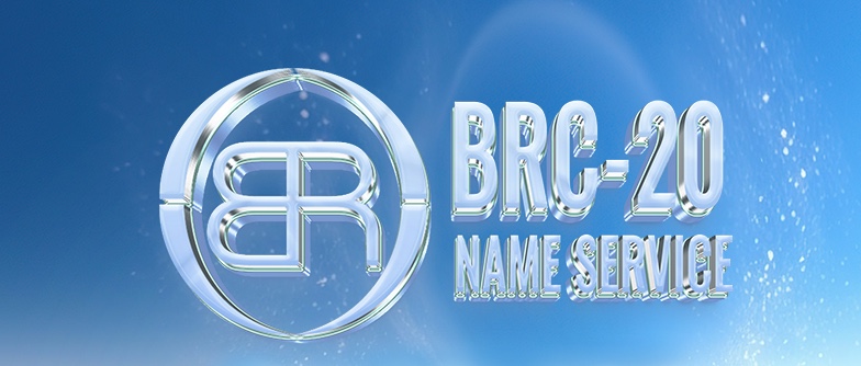 BRC-20 Name Service tweet media