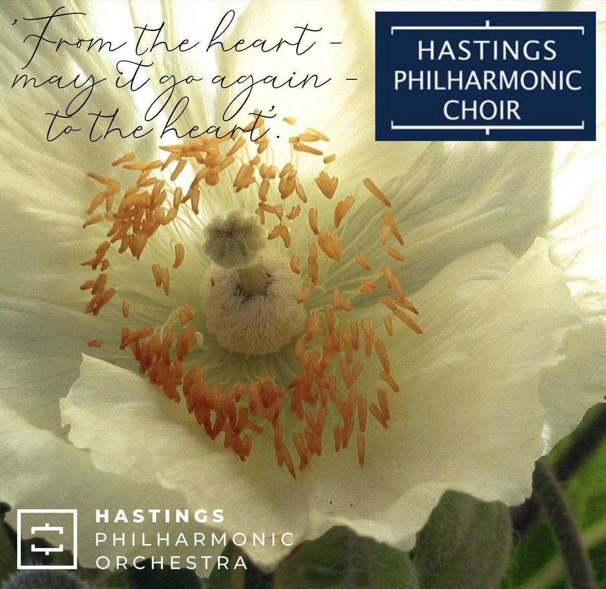 HastingsPhil's tweet image. We're delighted to be back performing with HPC, after our last performance together of Elijah @dlwp.

Don't miss Beethoven's incredible Missa Solemnis performed at St John the Evangelist next weekend, in the @HPhil_Choir Autumn Concert on November 11th.

➡️hastingsphilchoir.org.uk/autumnconcert2…