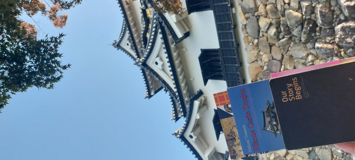 タマ tweet media