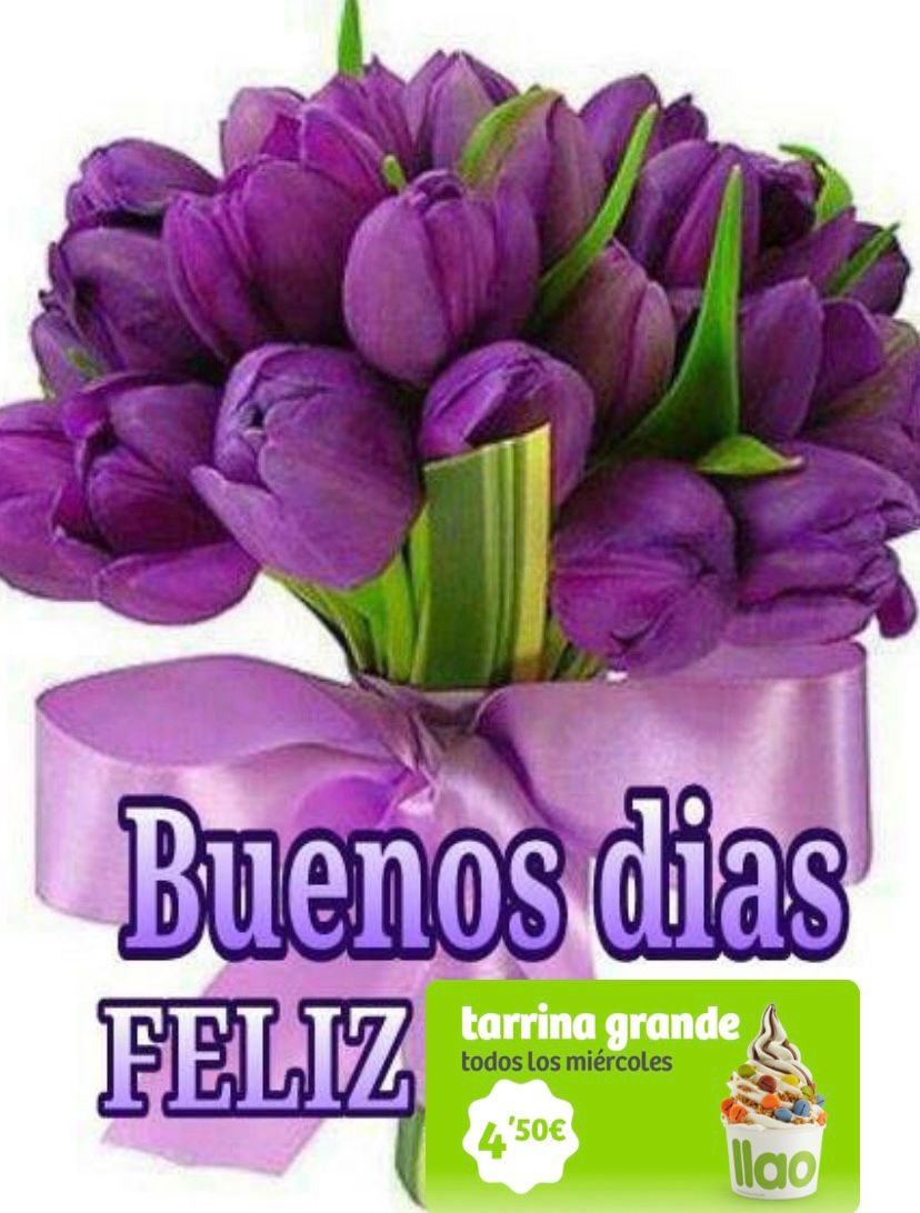 llaollao (@llaollao) on Twitter photo 