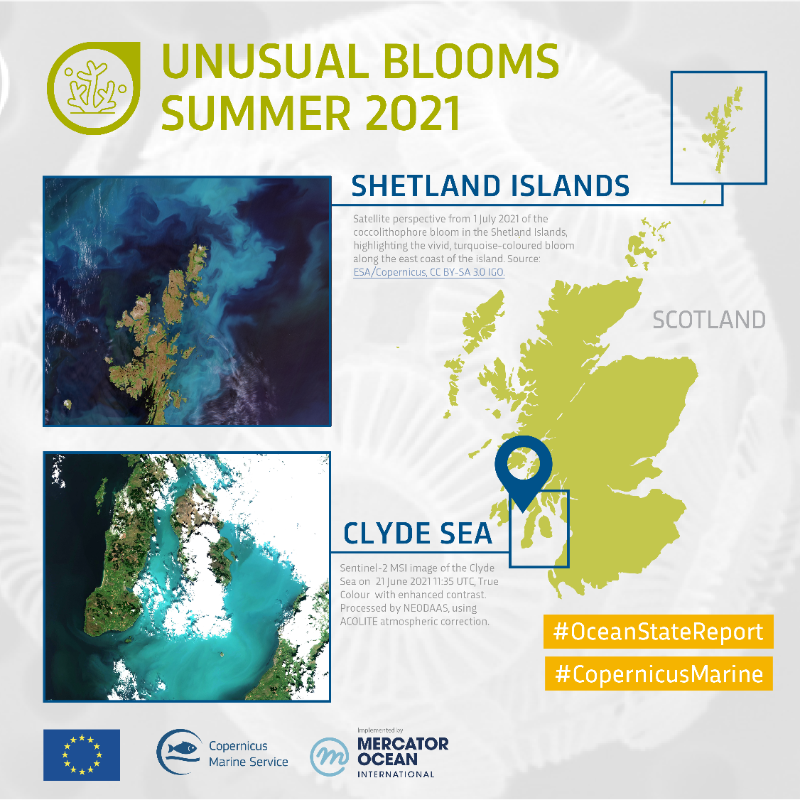 CMEMS_EU's tweet photo. In 2021, due to unusual weather conditions, coccolithophore blooms (a type of phytoplankton) were observed in the Clyde Sea and Shetland Islands

To learn more, explore the #CopernicusMarine #OceanStateReport 7👇
