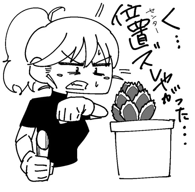 この状態になって一回植えなおしました。 