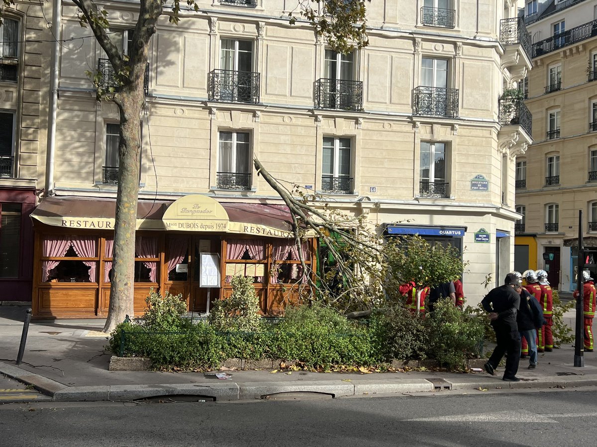 Valentin Berdah tweet media