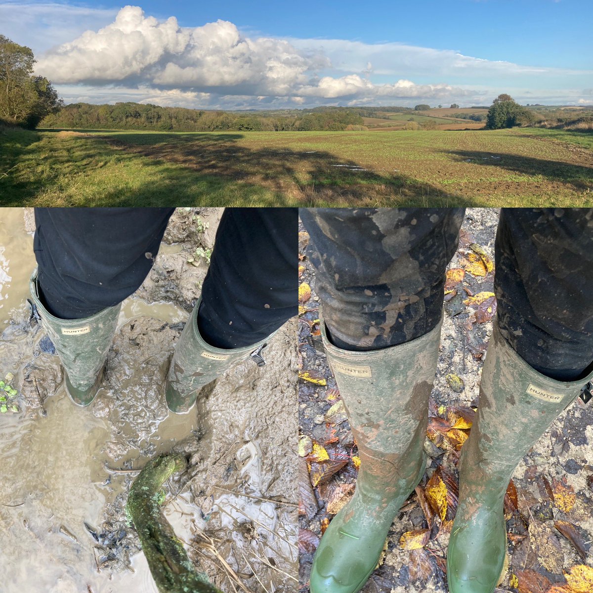 olly_quinn's tweet photo. @Bhaal_Spawn Is it just the rain AND in part the cold that puts you off โฆ
โฆ OR is it more the prospect of running through or around puddles and also muddy / slippy sections ?
Not much of a runner currently, but try & do 3 x a #CountrysideWalk of abt 4-5 miles, a week.
Current conditions: https://t.co/nFmUm2RWs7