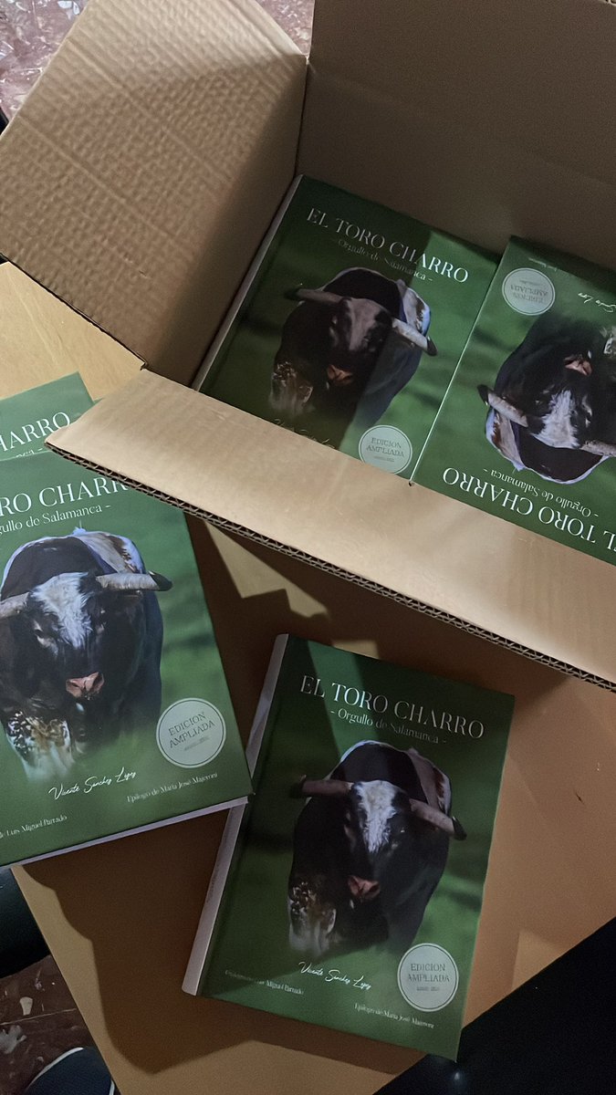 Vicente Sánchez 🇪🇸⚔️ tweet media