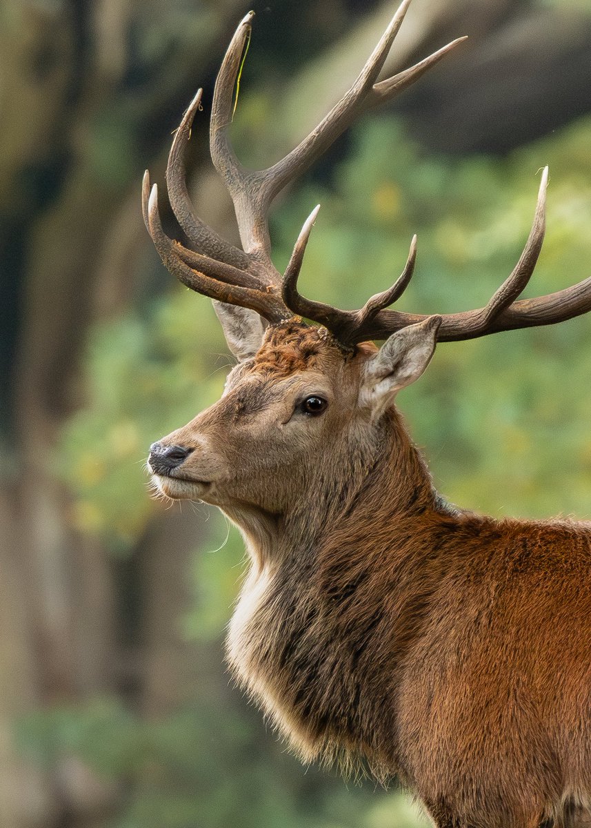 MMK Photography UK tweet media