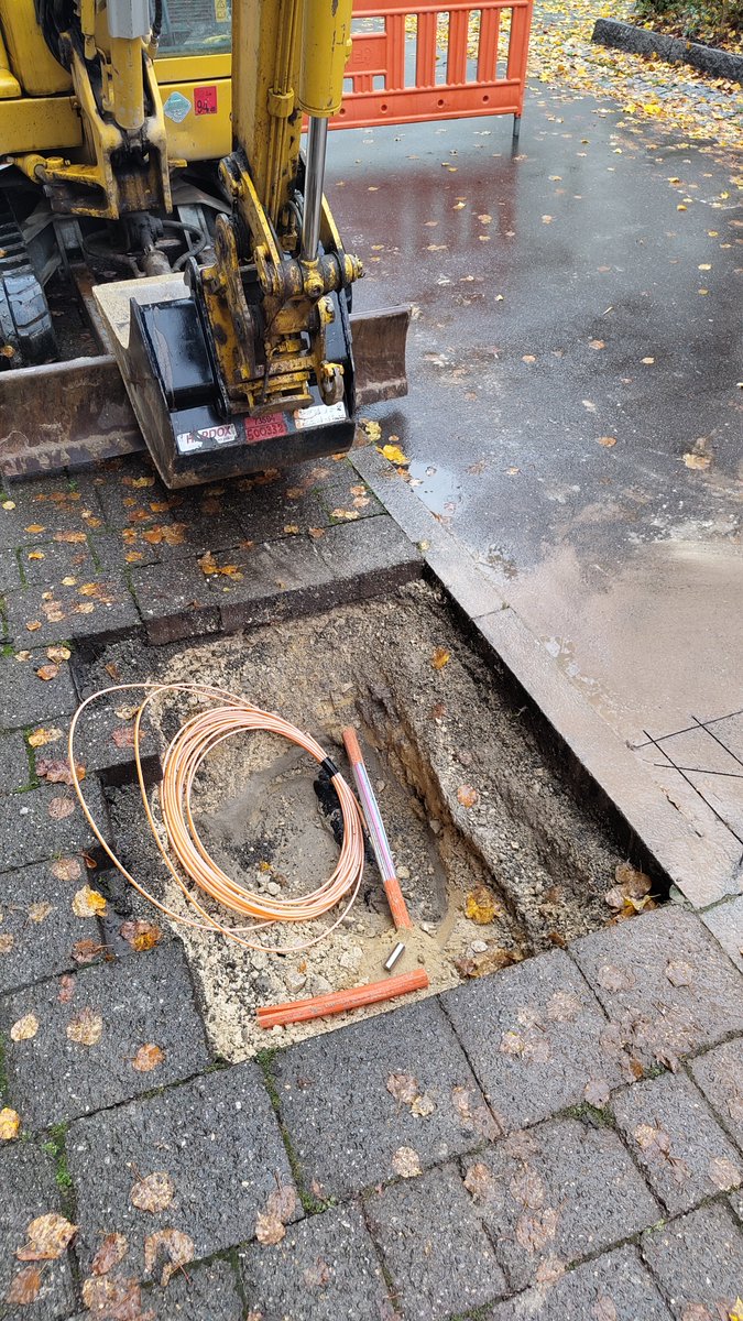 SEEDOR⚡Bitcoin Backup tweet media