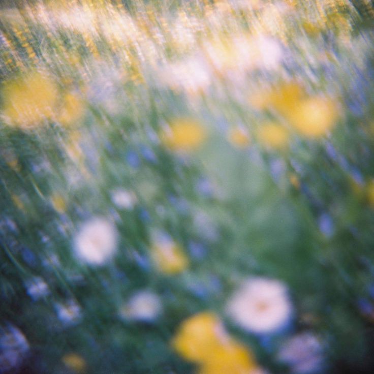 foureyechild's tweet photo. “a flower for you, the end of me”

book always loved the flowers not until he came a long https://t.co/vMASihThCs