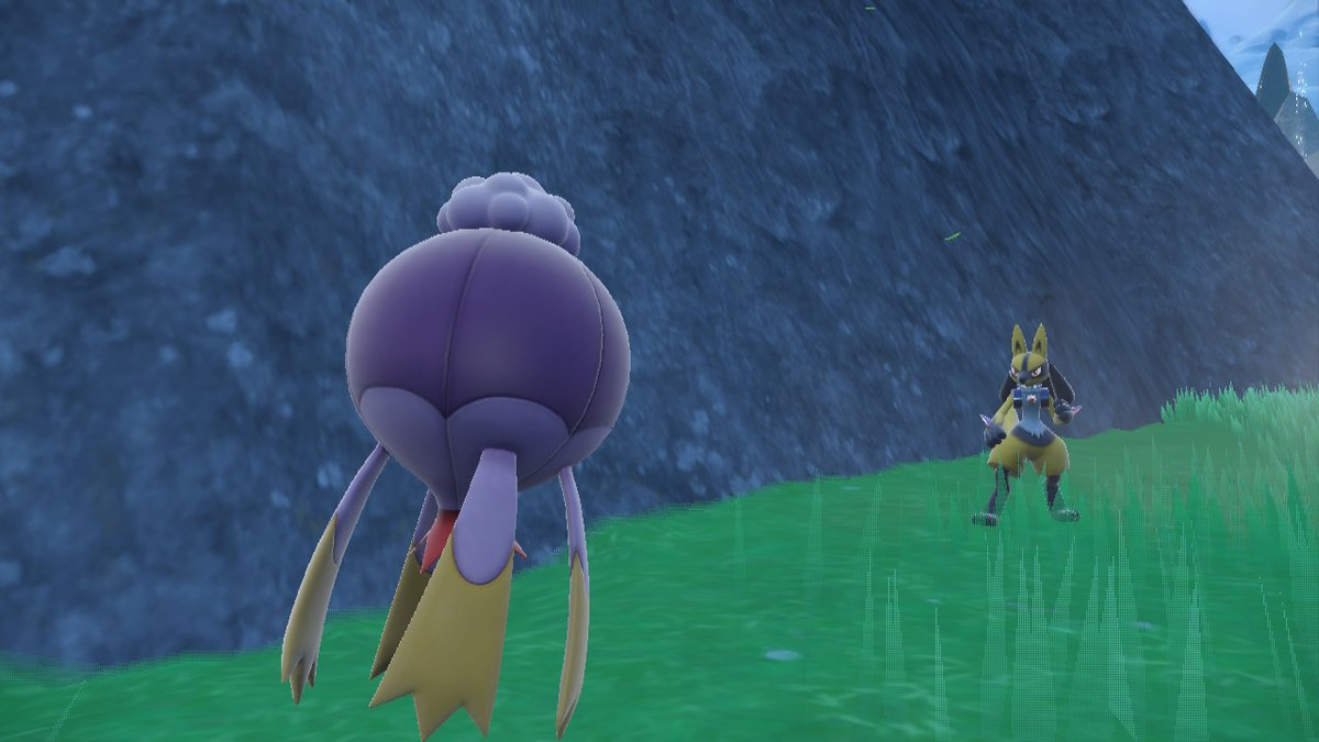moshpitmagikarp's tweet photo. #PokemonScarletViolet #NintendoSwitch https://t.co/oZ0maxiHfV