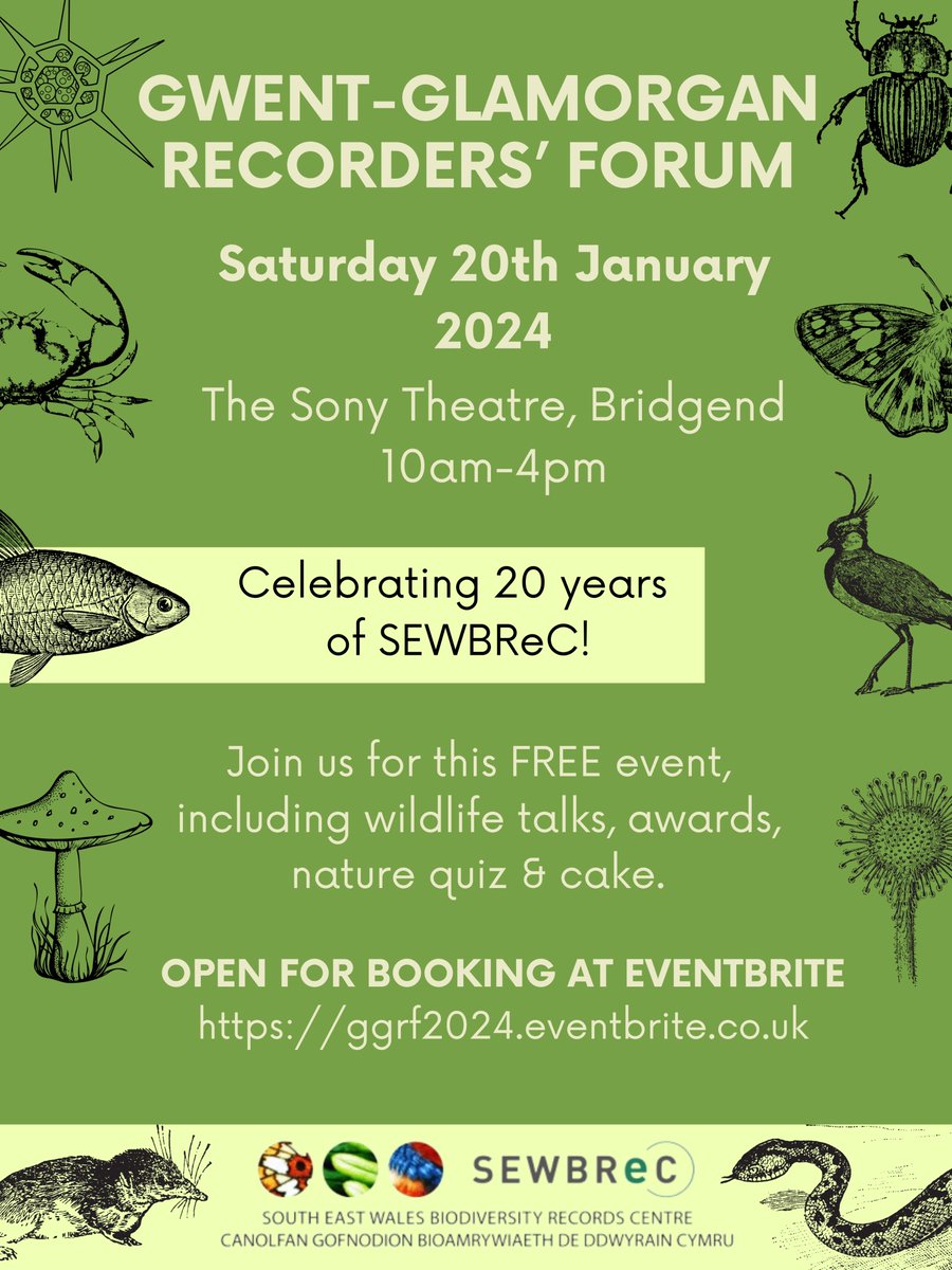 The Gwent-Glamorgan Recorders' Forum is open for booking! Join us for this free event in Bridgend on 20th Jan, celebrating wildlife recording in south east Wales (and our 20th Birthday!) Secure your space on Eventbrite: ggrf2024.eventbrite.co.uk
Programme to follow soon!