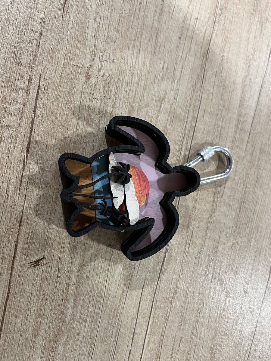 luke_james_86's tweet photo. Some of G7 & 8 Ss final layered laser cut keychains and backpack hangers. They used @Adobe Illustrator to design, @glowforge to cut, and acrylics to paint. #makered #issedu #thisisdais @daiseagles https://t.co/c7mqoDlFl4