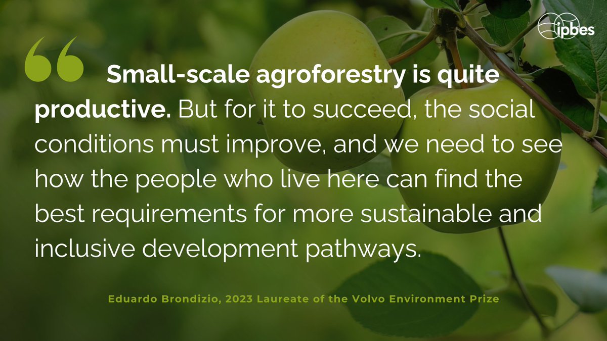 IPBES's tweet photo. The future of the Amazon depends on the ability to create more #SustainableUse of the forest. Profits from cultivation must accrue more to local people, or the problems will keep growing.🌳
—E. Brondizio, #VolvoEnvironmentPrize laureate & @IPBES #GlobalAssessment Co-chair https://t.co/NLFFp9lqwz