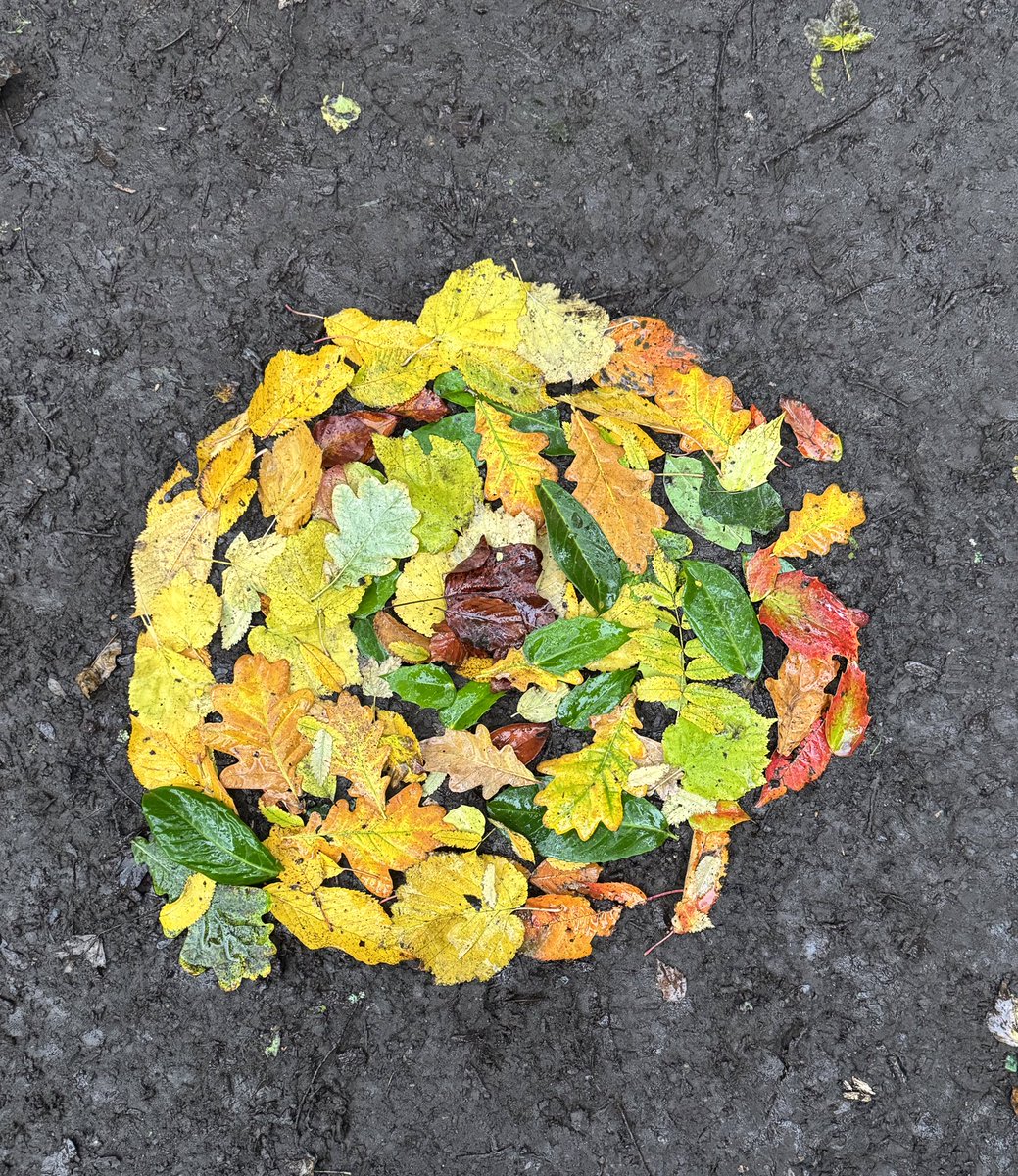 Earth Calling tweet media