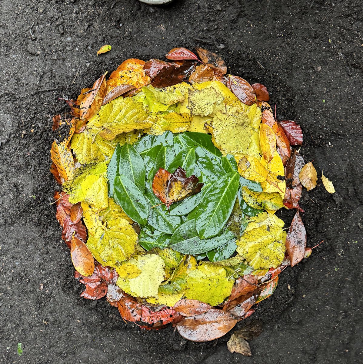 Earth Calling tweet media