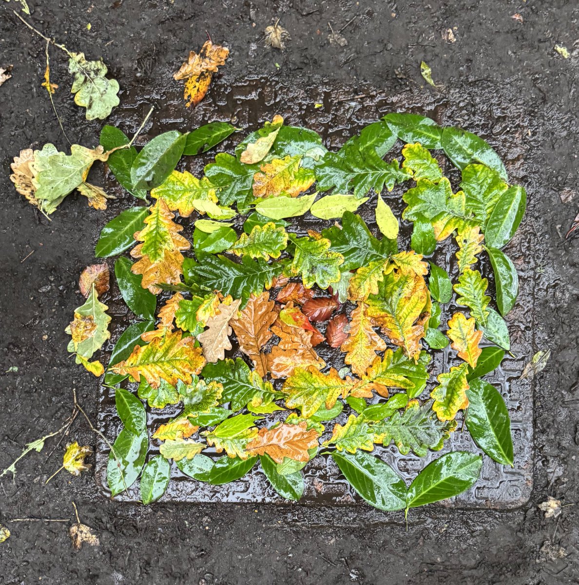 Earth Calling tweet media