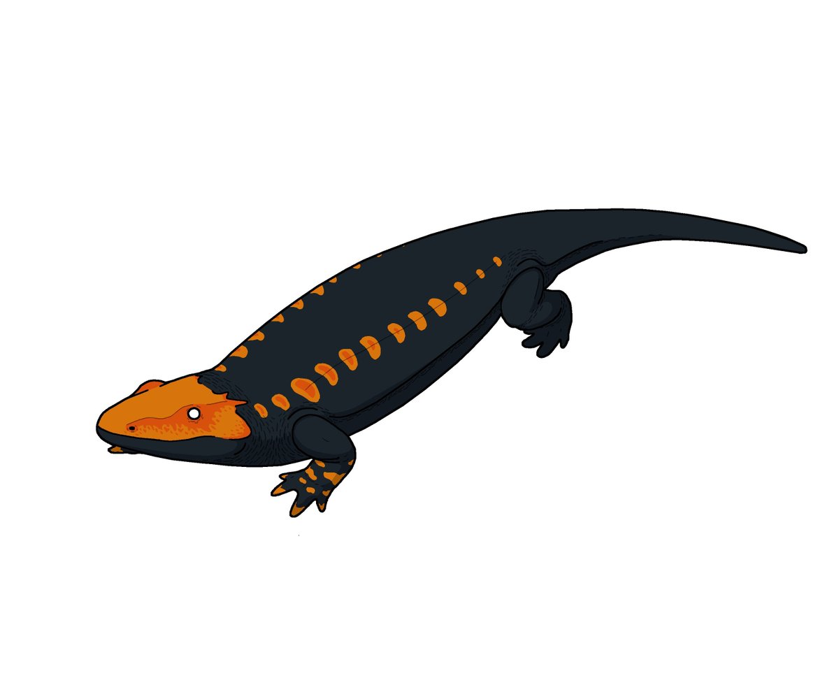 BatmanelVisigodo tweet media