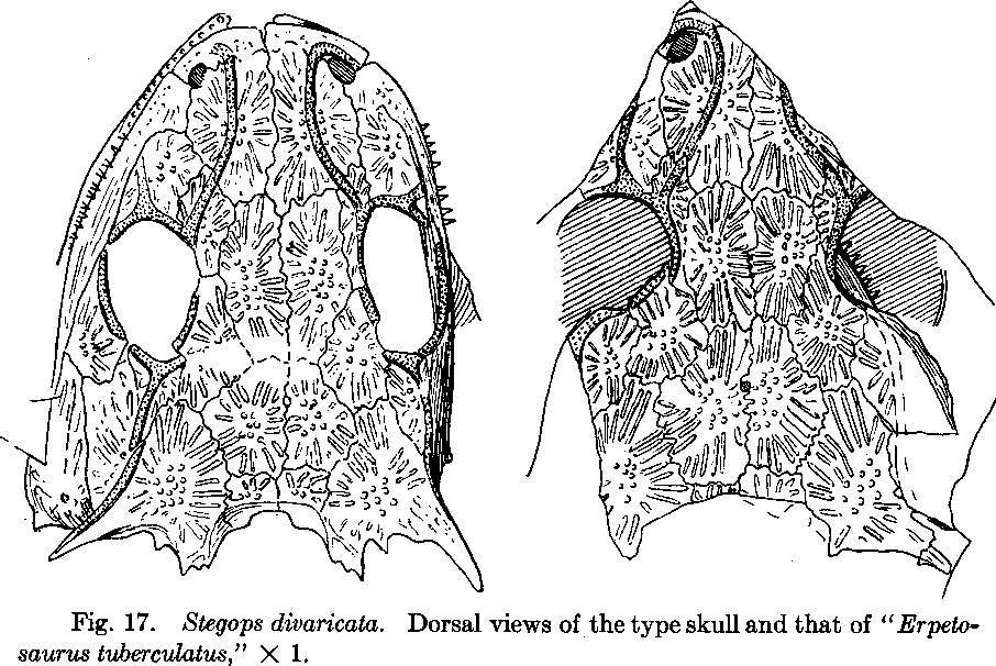 BatmanelVisigodo tweet media
