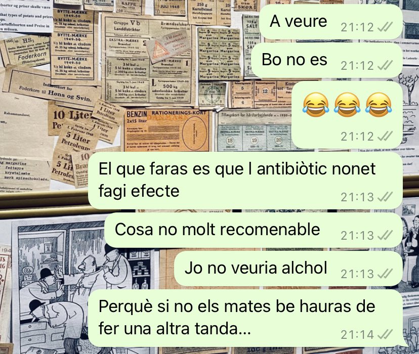Berta🦕 tweet media