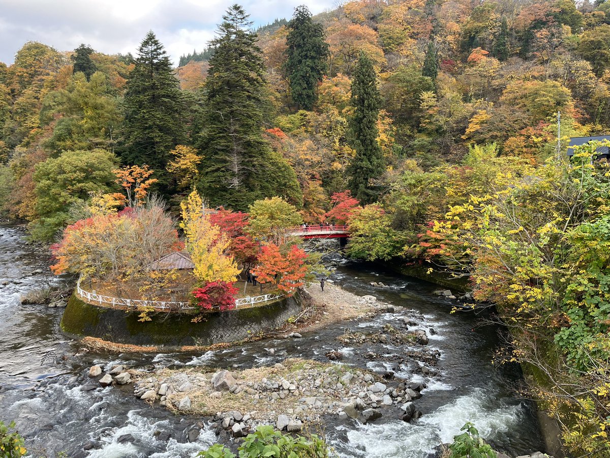 yskLIV's tweet photo. 今日は休みを取って黒石の中野もみじ山へ行ってきました。
紅葉綺麗でした。 https://t.co/o1QWmSDM1M