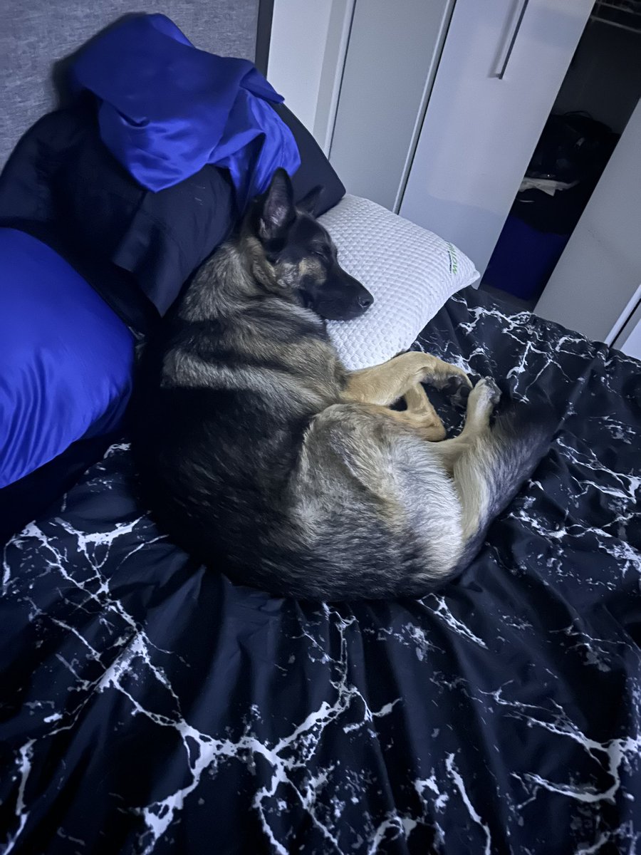 ImDiDi6_6's tweet photo. GM ...

Not too sure I want to go into work today 🐺 https://t.co/rBUWnDPVeP