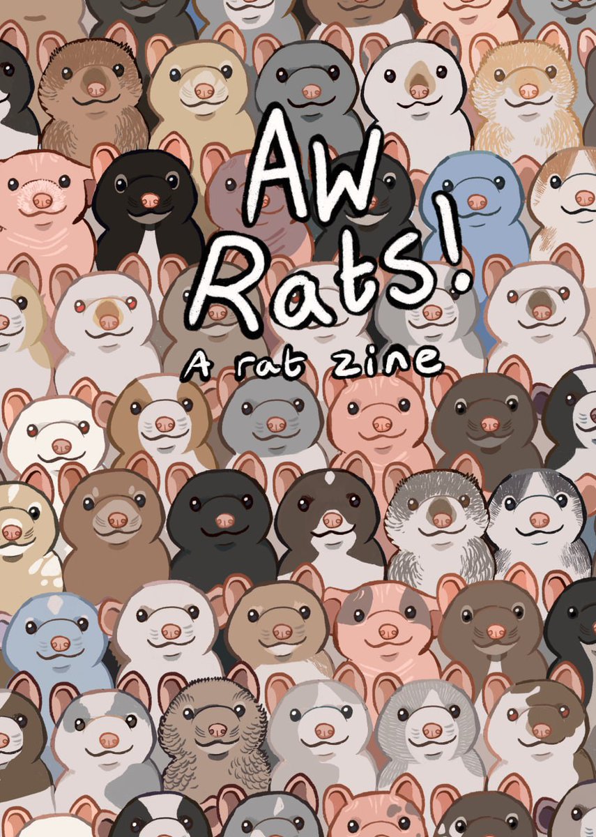 🌻 Rachel 🌻 tweet media