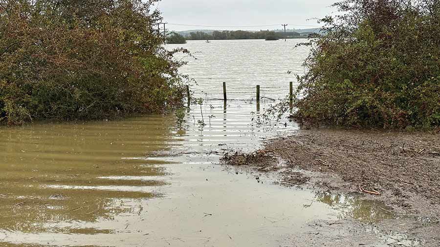 🌧️ The Environment Agency stands accused of hypocrisy and negligence over its failure to maintain watercourses to prevent farms from devastating flood damage.

“The EA are useless at managing water.”

<a href="/wheat_daddy/">Andrew Ward 🇬🇧🚜</a> | <a href="/ProagriLtd/">Tom Bradshaw</a> 

READ MORE: fwi.co.uk/news/weather/e…